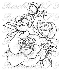 K056 Group of Roses