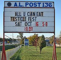 testicle festival