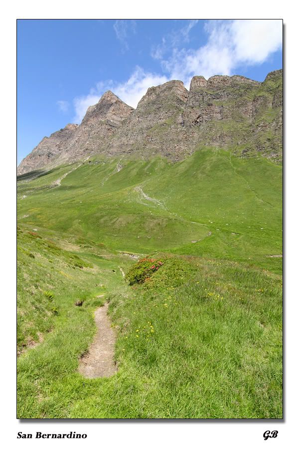 IMAGE: http://i1019.photobucket.com/albums/af318/beppephoto/SanBernardino4.jpg