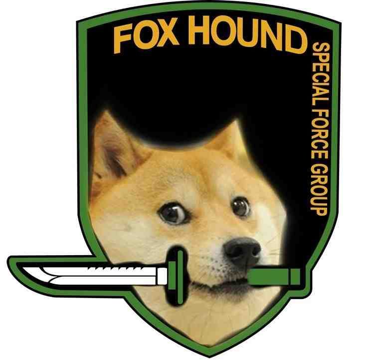 Doge Foxhound photo 1383427256540.jpg