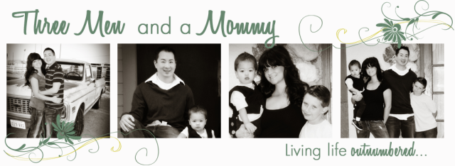 Three Men and a Mommy, Blog Design, Custom Blog Design