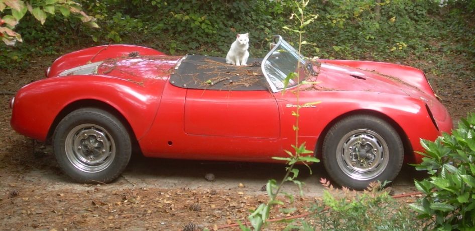 4df56420-6509-4bea-a3c4-0f136832314d_zps