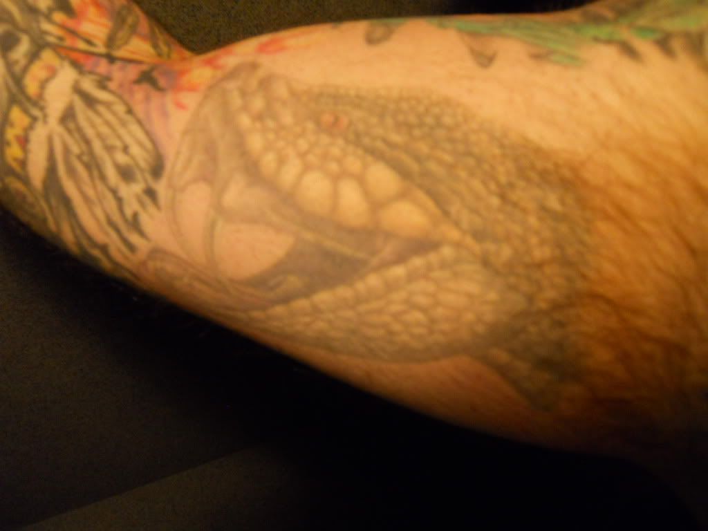 Member Blog Snake Tattoo