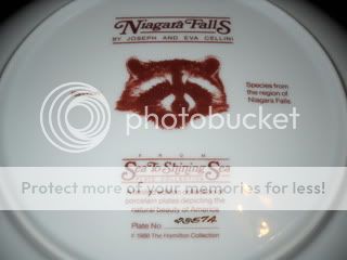 Niagra Falls  Racoon  Plate # 2357 A